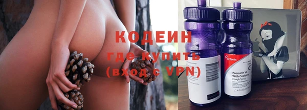 сатива Елизово