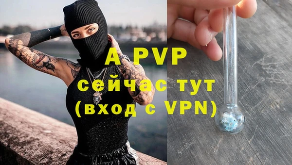 сатива Елизово