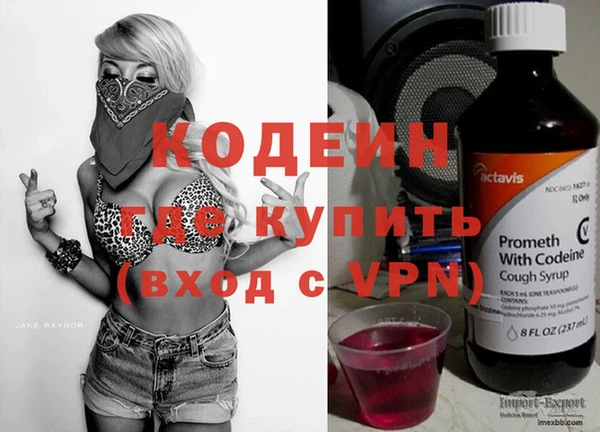 кокс Ельня