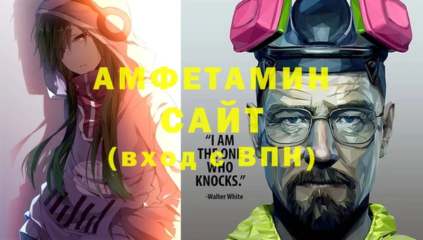 сатива Елизово