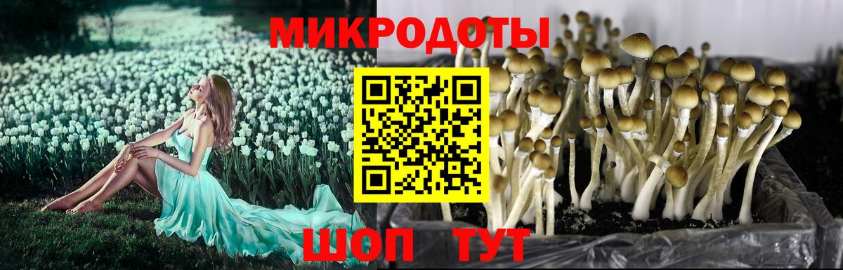 Галлюциногенные грибы Cubensis  где найти   Ефремов  Вход с VPN 