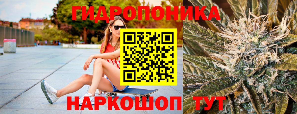 Конопля Amnesia Ефремов